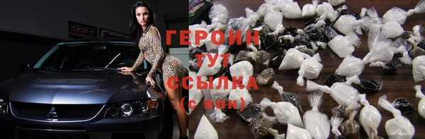 гидра Бородино