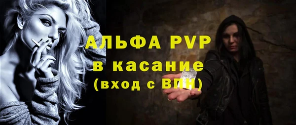 гидра Бородино