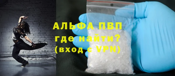 гидра Бородино