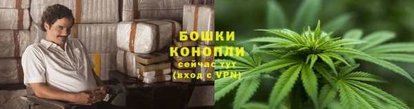 соль ск Богородицк