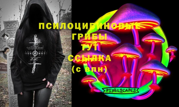 СК Богданович