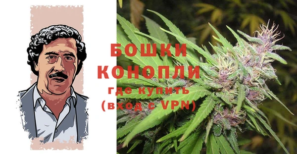 СК Богданович