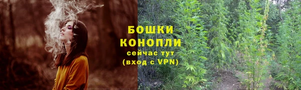 соль ск Богородицк
